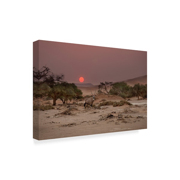 Hans Repelnig 'Savannah Sunset Landscape' Canvas Art,22x32